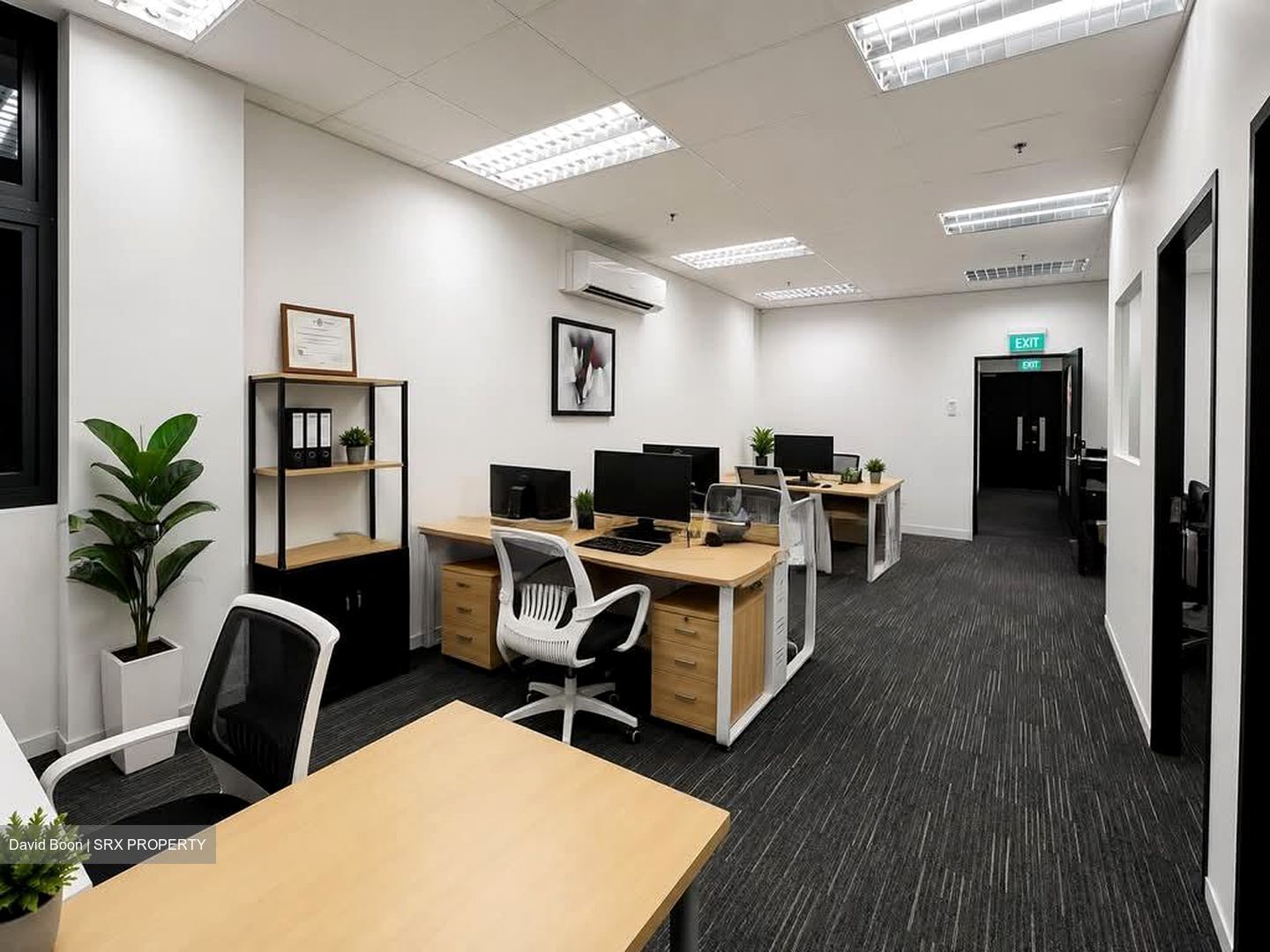 Primz Bizhub (D25), Factory #578523051